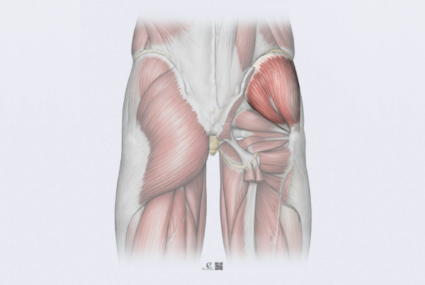 GLUTEMED